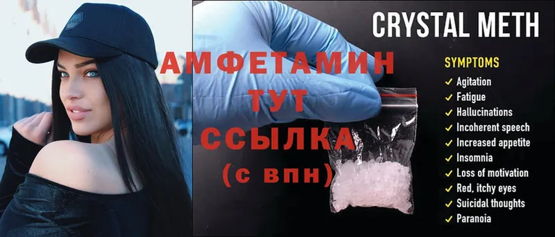 Amphetamine Розовый  Нижняя Салда 