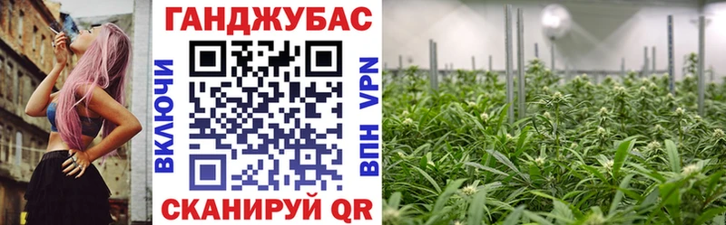 дарнет шоп  Нижняя Салда  Конопля конопля 